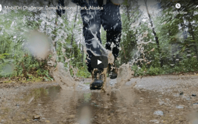 MobilDri Challenge: Denali National Park, Alaska
