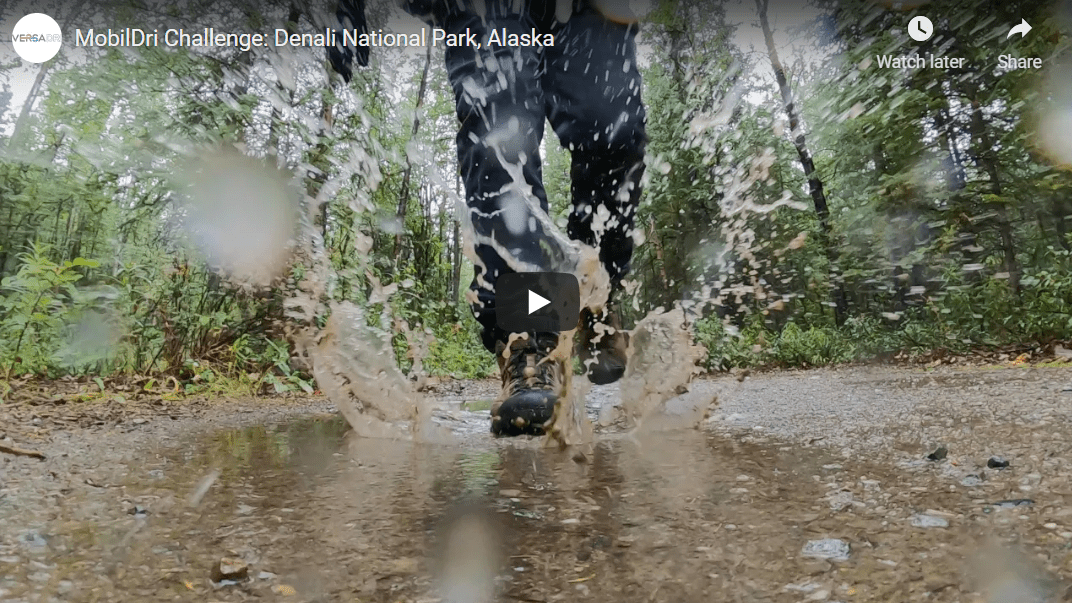 MobilDri Challenge: Denali National Park, Alaska